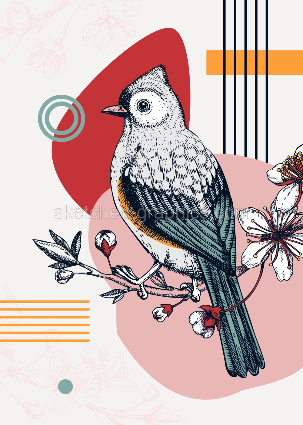Collage-style bird card. Sketched tufted titmouse trendy poster. Creative designs with bird sketch, botanical illustrations, geometric shapes, and abstract elements for print, wall art, packaging.  Illustration
